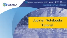 Download Jupyter Notebook