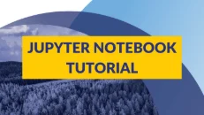 Download Jupyter Notebook