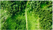 New HR Vegetation Phenology and Productivity service