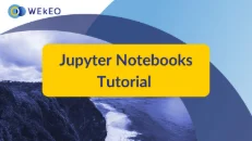 Download Jupyter Notebook