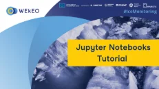 Jupyter Notebook