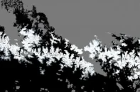 New Copernicus Near Real-Time products for snow and ice monitoring